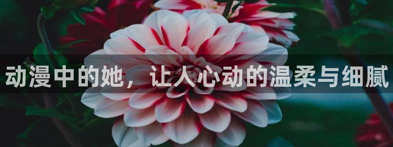 囧次元下载最新版本：动漫中的她，让人心动的温柔与细腻