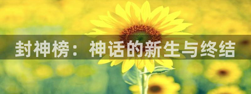 囧次元app下载官方正版