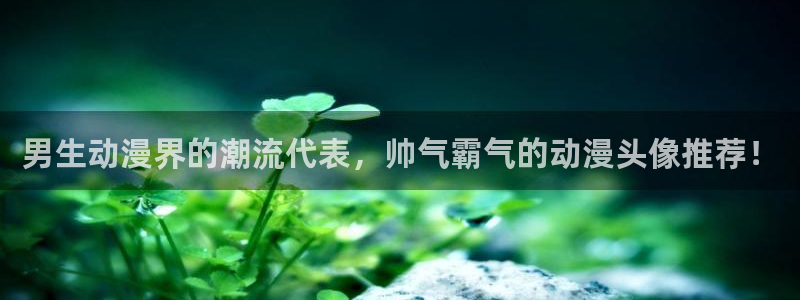 囧次元网页版入口网址