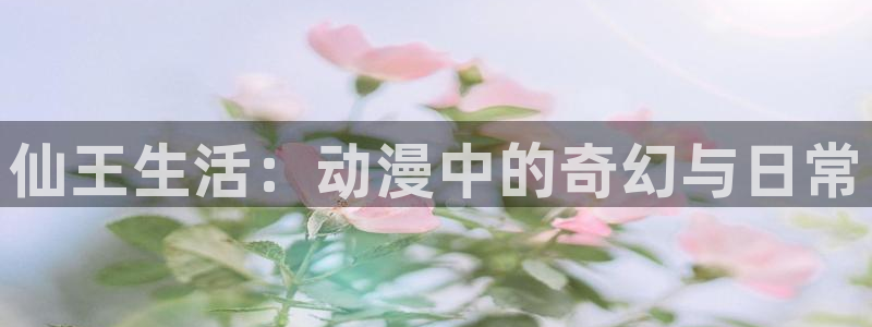 囧次元网站