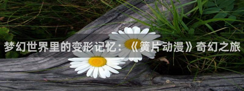 囧次元app正版下载