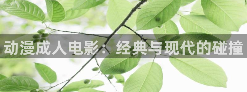 免费下载囧次元app
