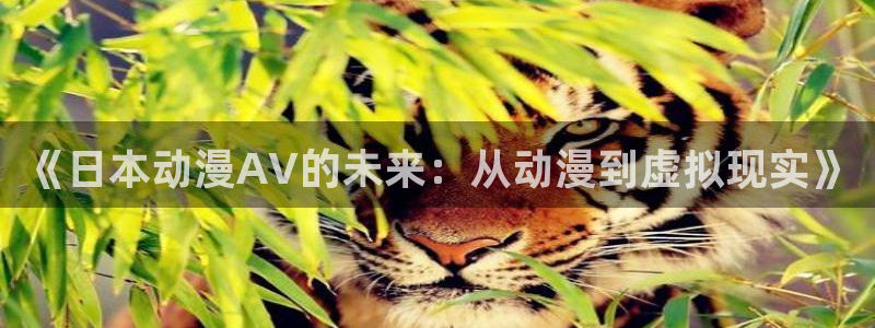 囧次元官网最新下载