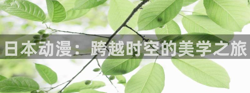 囧次元官方正版app