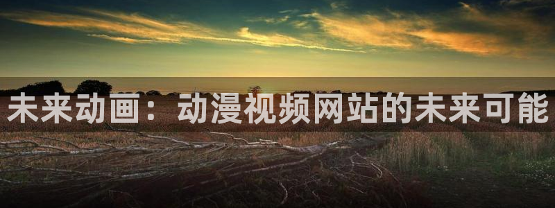囧次元免费下载官方正版
