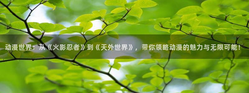囧次元app下载官方最新