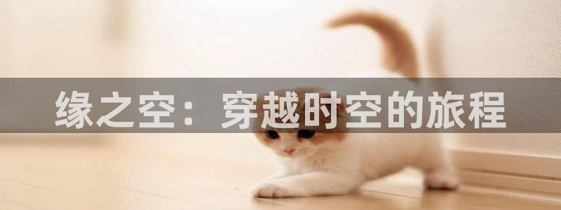 囧次元app下载入口最新版本