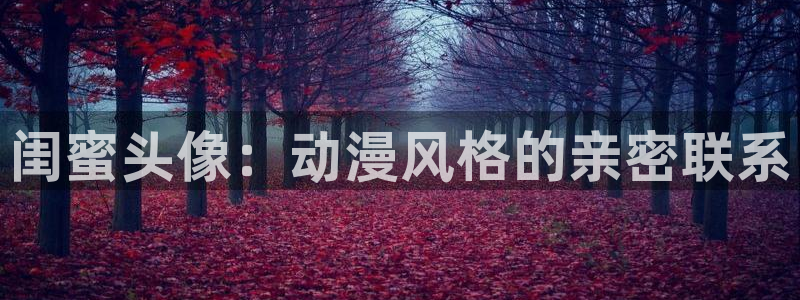 囧次元最新下载