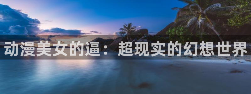 囧次元官方网站入口安卓版