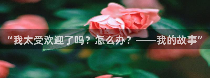 囧次元囧次元