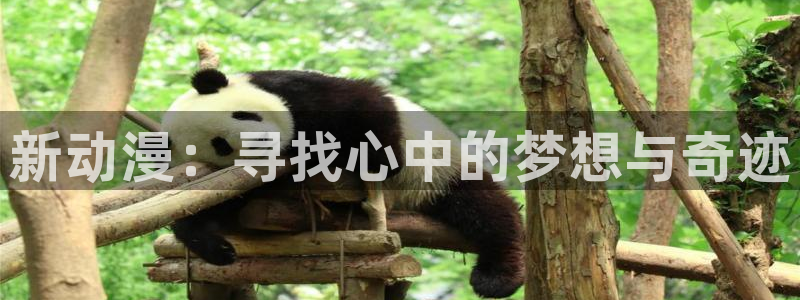 囧次元官方网站入口更新