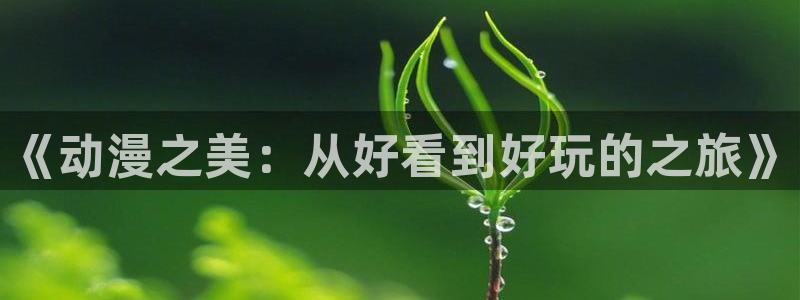 囧次元安卓版下载