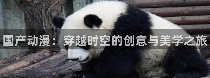 囧次元官方入口下载