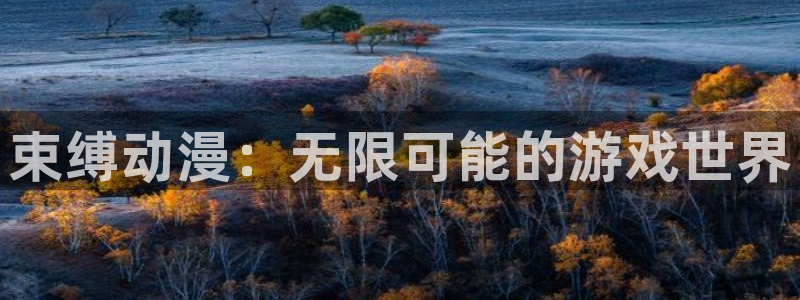 囧次元看动漫免费