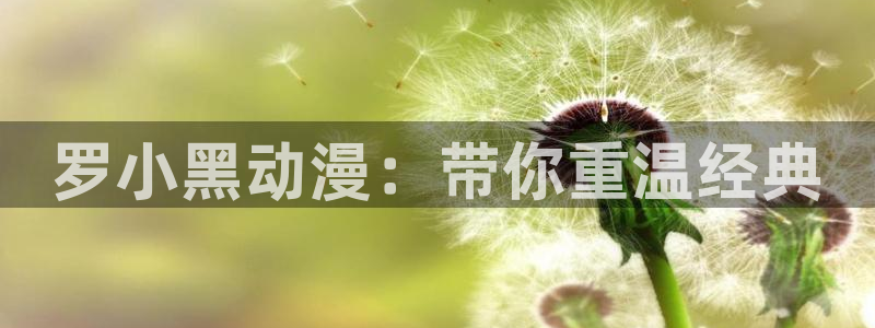 囧次元下载链接
