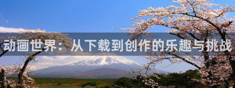 囧次元正版入口：动画世界：从下载到创作的乐趣与挑战
