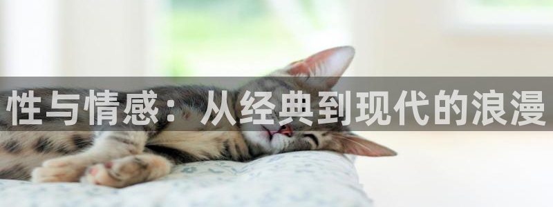 囧次元漫画：性与情感：从经典到现代的浪漫