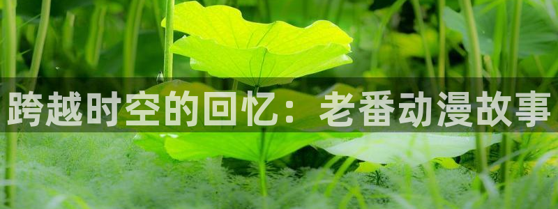 囧次元官方正版网站：跨越时空的回忆：老番动漫故事