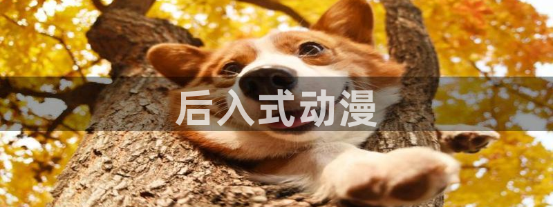 囧次元动漫官网入口