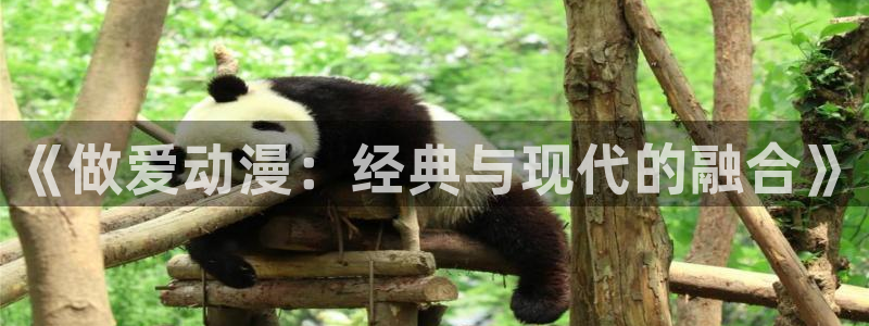 囧次元官网下载