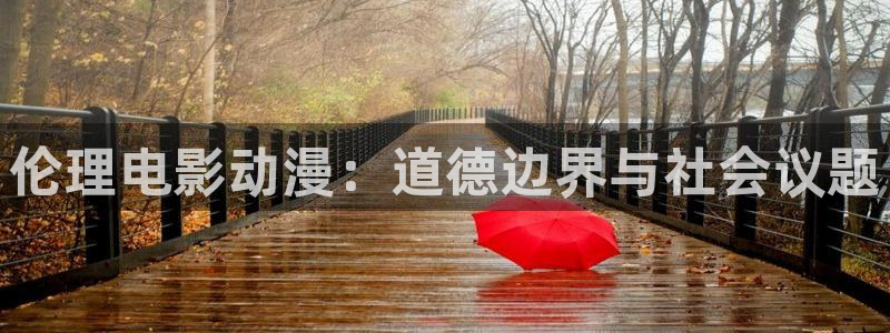 囧次元下载安装