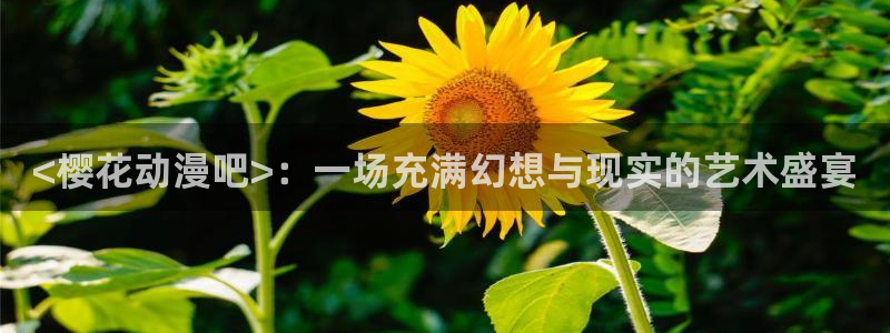 囧次元正版官方网址