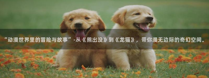 囧次元官方网站入口下载最新版本