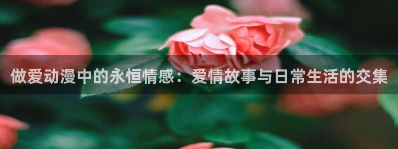 囧次元在线观看入口
