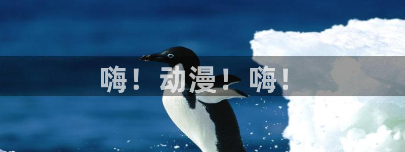 囧次元网址