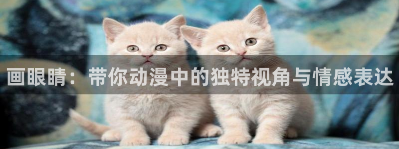 囧次元官方入口官网