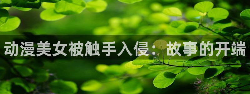囧次元下载正版官网
