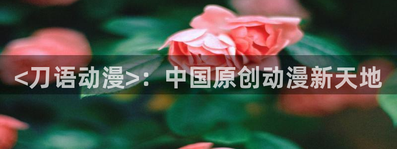 囧次元网页版入口网址