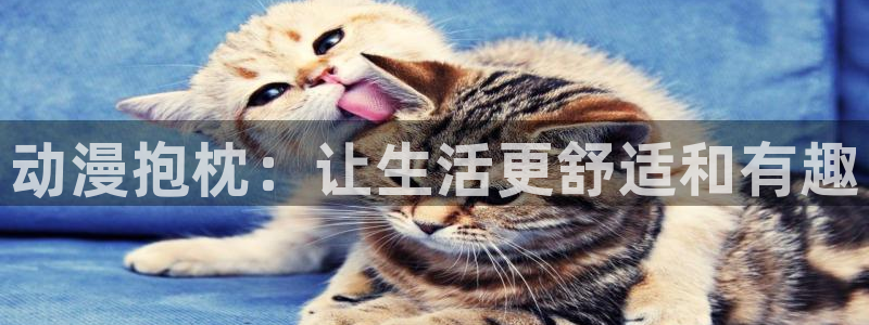囧次元最新版官方正版