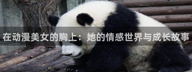 囧次元官方下载入口