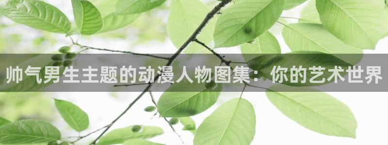 囧次元官方网页版