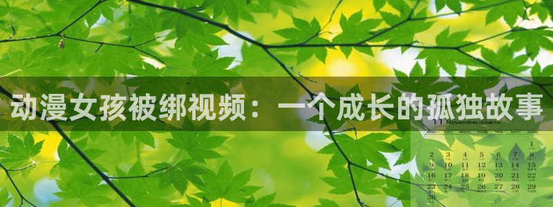 囧次元正版免费下载