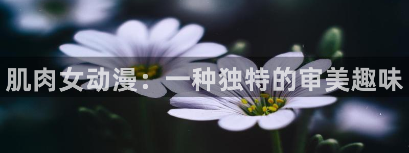 囧次元官方网站入口下载