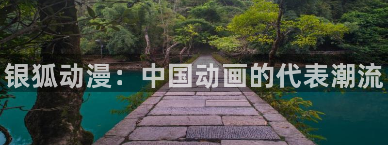 囧次元网页版进入：银狐动漫：中国动画的代表潮流