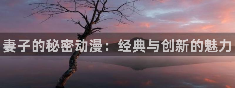 囧次元网页版入口网址