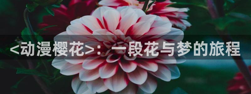 囧次元动漫app官网下载