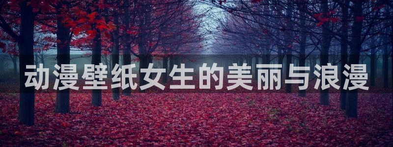 囧次元官方官网入口：动漫壁纸女生的美丽与浪漫