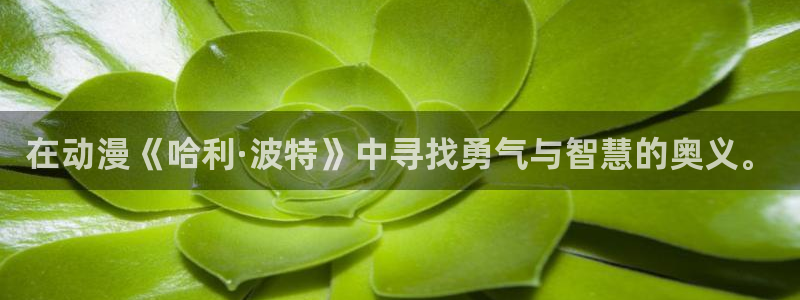 囧次元最新版：在动漫《哈利·波特》中寻找勇气与智慧的奥义。