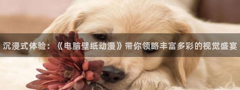 囧次元新版：沉浸式体验：《电脑壁纸动漫》带你领略丰富多彩的视觉盛宴