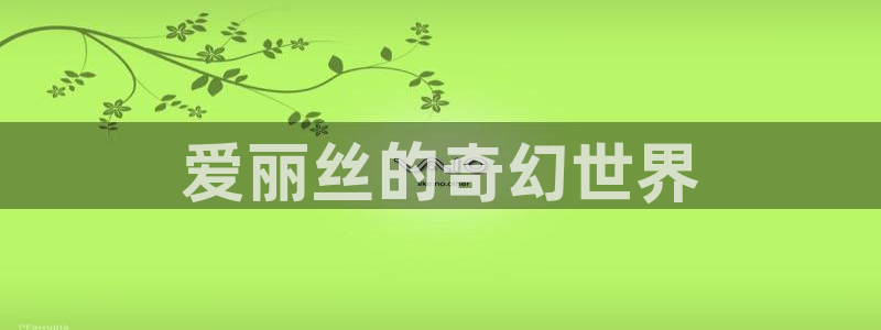 囧次元官网入口：爱丽丝的奇幻世界