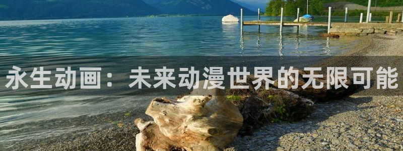 囧次元app官方正版：永生动画：未来动漫世界的无限可能