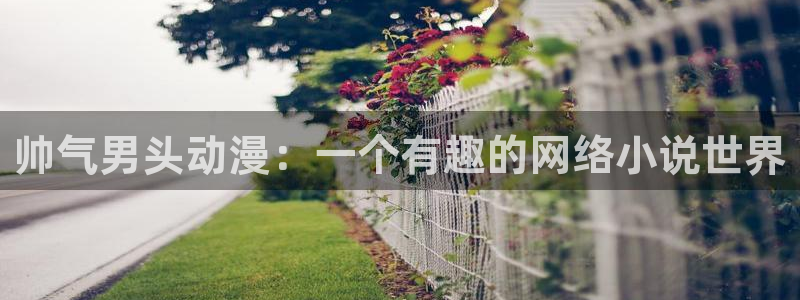囧次元ios官网入口：帅气男头动漫：一个有趣的网络小说世界