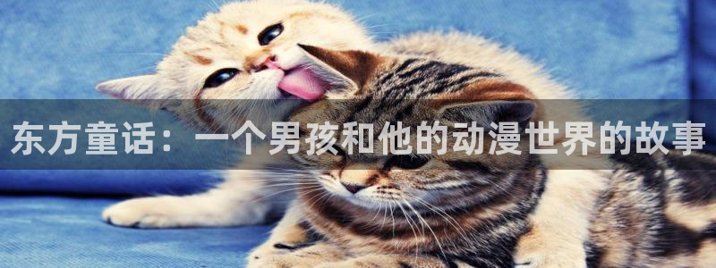 jcyapp.囧次元官网入口：东方童话：一个男孩和他的动漫世界的故事