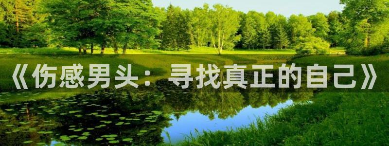 囧次元app官网入口：《伤感男头：寻找真正的自己》