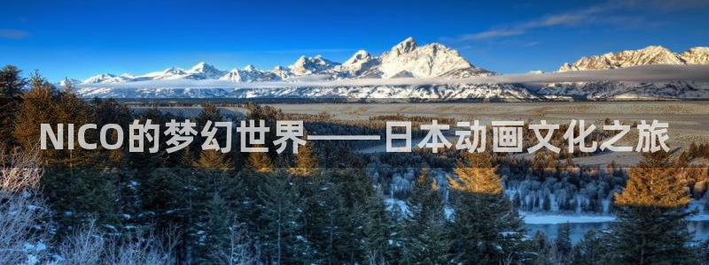 囧次元旧版：NICO的梦幻世界——日本动画文化之旅