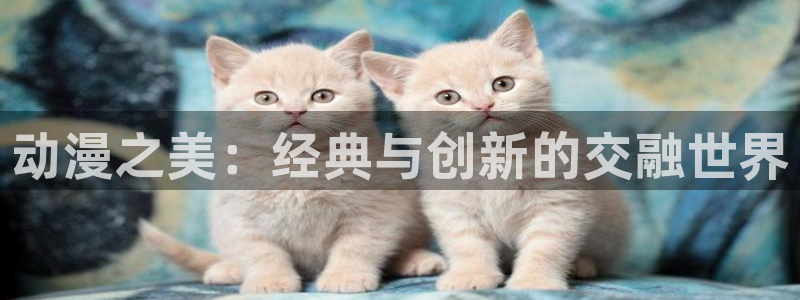 囧次元app下载官网版安卓：动漫之美：经典与创新的交融世界